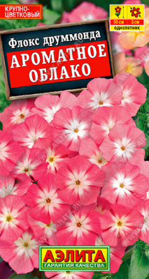 Флокс Ароматное облако