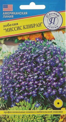 Лобелия Миссис Клибран