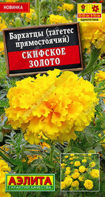 Бархатцы Скифское золото