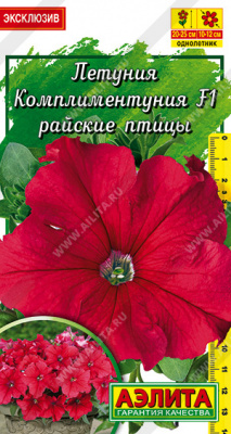 Комплиментуния райские птицы крупноцветковая
