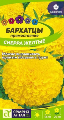 Бархатцы Сиерра желтые