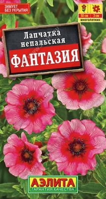 Лапчатка непальская Фантазия