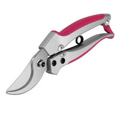 sekator_0703