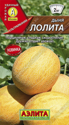 Дыня Лолита