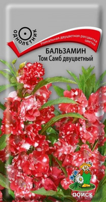 Бальзамин Том Самб двухцветный