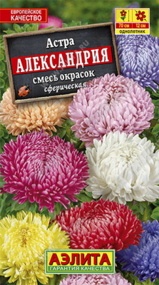 Астра Александрия