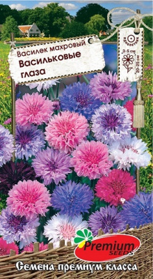 Василек Васильковые глаза