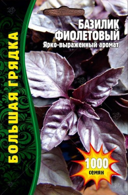 Базилик фиолетовый