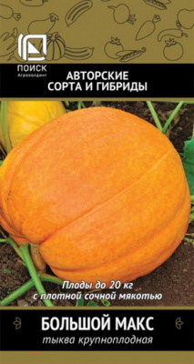 Тыква Большой Макс крупноплодная