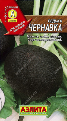 Редька Чернавка