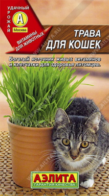 Трава для кошек