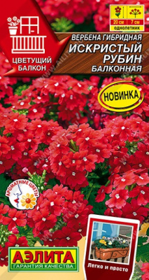 Вербена Искристый рубин балконная