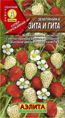 Земляника Зита и Гита