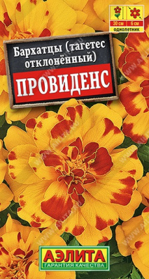 Бархатцы Провиденс