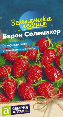 Земляника Барон Солемахер