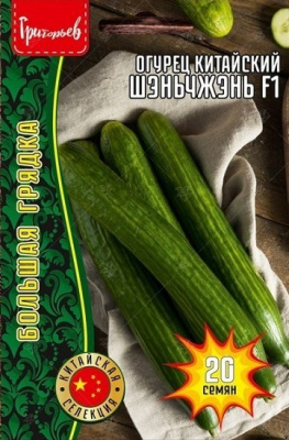 Китайский Шэньчжэнь