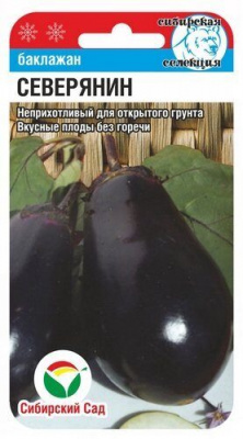 Баклажан Северянин