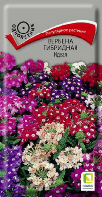 Вербена Идеал гибридная