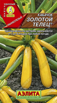 Кабачок цуккини Золотой телец