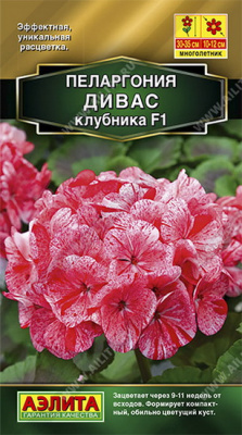 Пеларгония Дивас клубника