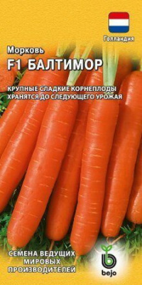 Морковь Балтимор (Гавриш)