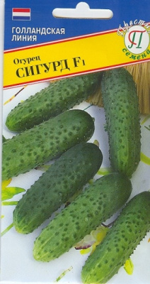 Огурец Сигурд