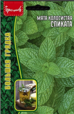 Мята Спиката колосистая (Ред.сем)