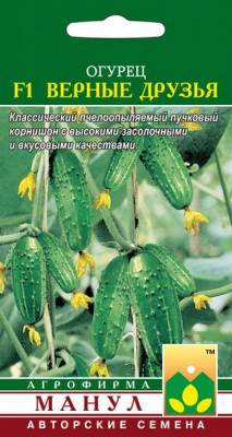Огурец верный друзья Манул