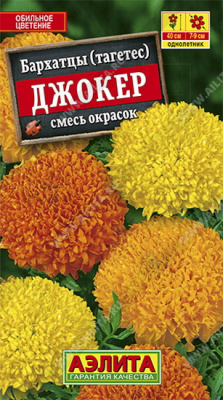 Бархатцы Джокер
