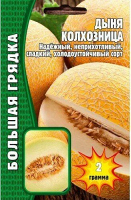 Дыня Колхозница