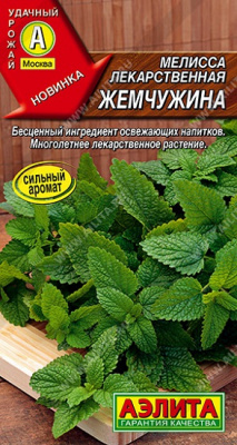 Мелисса Жемчужина лекарственная