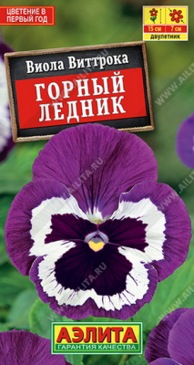 Виола Горный ледник
