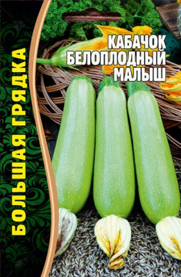 Кабачок Малыш