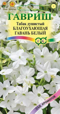 Табак душистый Благоухающая гавань, белый