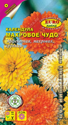 Календула Махровое чудо