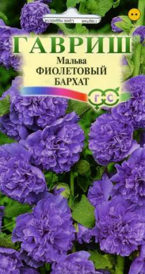 Мальва Фиолетовый Бархат