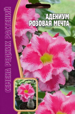 Адениум Розовая мечта