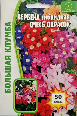 Вербена Смесь окрасок