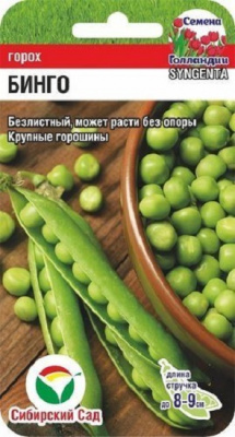 бинго