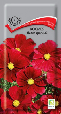 Космея Яхонт красный
