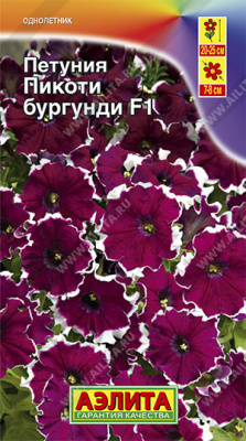 Петуния Пикоти бургунди