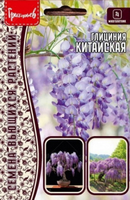 Глициния Китайская