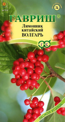 Лимонник китайский Волгарь