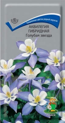Аквилегия Голубая Звезда