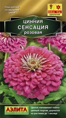 Цинния Сенсация розовая