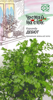 Кориандр Дебют