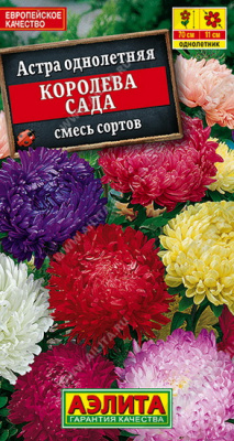 Астра Королева Сада смесь