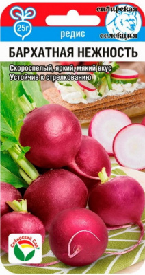 редис бархатная нежность