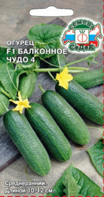Огурец Балконное чудо 4