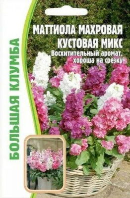 Маттиола Махровая кустовая